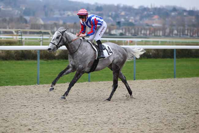 Photo d'arrivée de la course pmu PRIX DES COTTAGES à DEAUVILLE le Samedi 5 janvier 2019