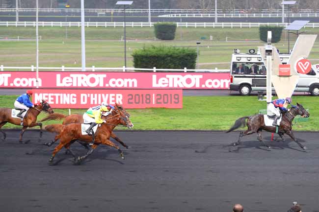 Photo d'arrivée de la course pmu PRIX DE VILLEDIEU à PARIS-VINCENNES le Lundi 7 janvier 2019