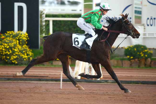 Photo d'arrivée de la course pmu PRIX DE LA COTE D'AMOUR à CAGNES-SUR-MER le Mercredi 9 janvier 2019
