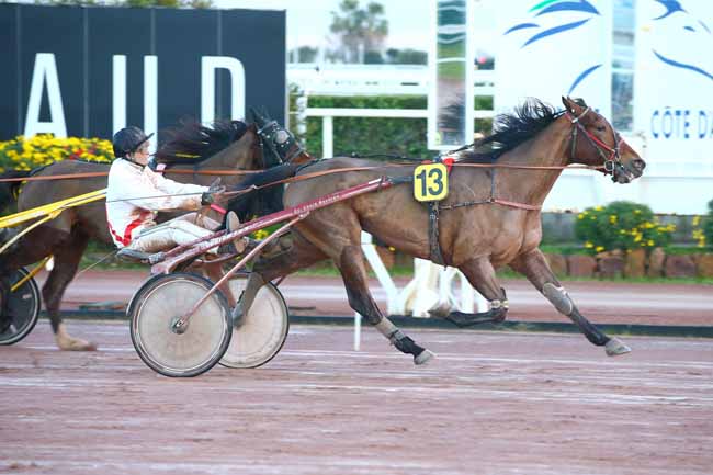 Photo d'arrivée de la course pmu PRIX DE LA COTE D'OPALE à CAGNES-SUR-MER le Mercredi 9 janvier 2019