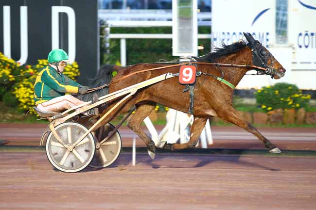 Photo d'arrivée de la course pmu PRIX DES COTES D'ARMOR à CAGNES-SUR-MER le Mercredi 9 janvier 2019