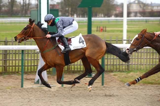Photo d'arrivée de la course pmu PRIX DU CARREFOUR SAINT-LEONARD à CHANTILLY le Samedi 12 janvier 2019