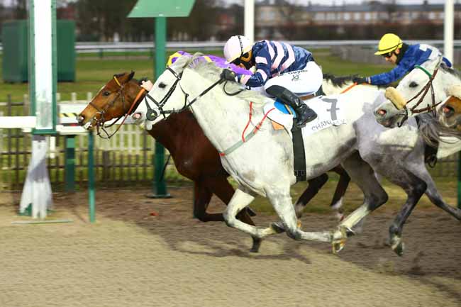 Photo d'arrivée de la course pmu PRIX DE PRESLES à CHANTILLY le Samedi 12 janvier 2019