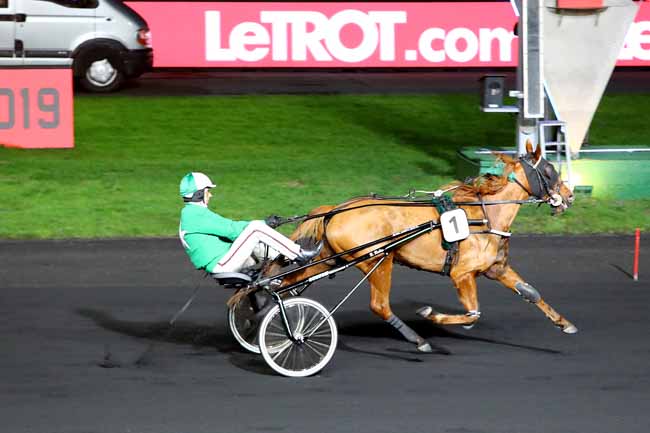 Photo d'arrivée de la course pmu PRIX DE LA CAPELLE à PARIS-VINCENNES le Dimanche 13 janvier 2019