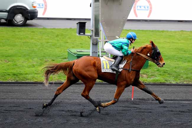 Photo d'arrivée de la course pmu PRIX DE CHATELAILLON-LA-ROCHELLE à PARIS-VINCENNES le Dimanche 13 janvier 2019