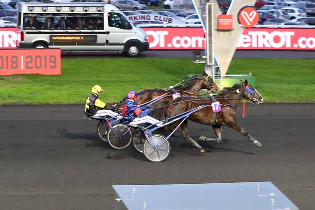 Photo d'arrivée de la course pmu PRIX DE TOULOUSE à PARIS-VINCENNES le Dimanche 13 janvier 2019