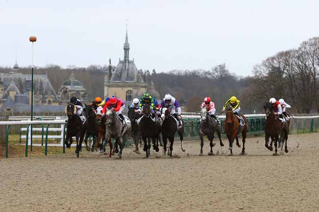 Photo d'arrivée de la course pmu PRIX DES BRULIS à CHANTILLY le Dimanche 13 janvier 2019