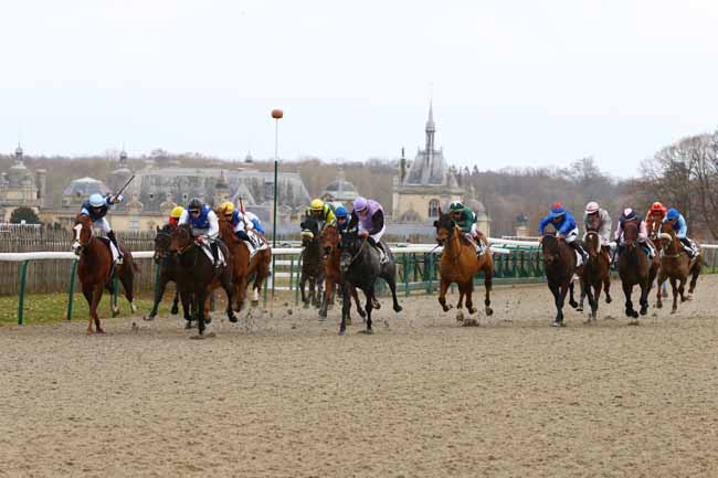 Photo d'arrivée de la course pmu PRIX DE NOINTEL à CHANTILLY le Dimanche 13 janvier 2019