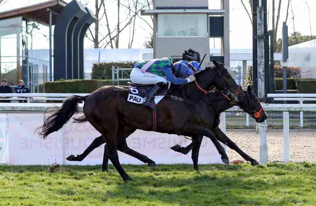 Photo d'arrivée de la course pmu PRIX EQUIDIA - PRIX AUGUSTE DE CASTELBAJAC à PAU le Mardi 15 janvier 2019