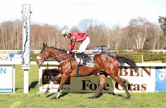 Photo d'arrivée de la course pmu PRIX JEAN BERNADOTTE à PAU le Mardi 15 janvier 2019