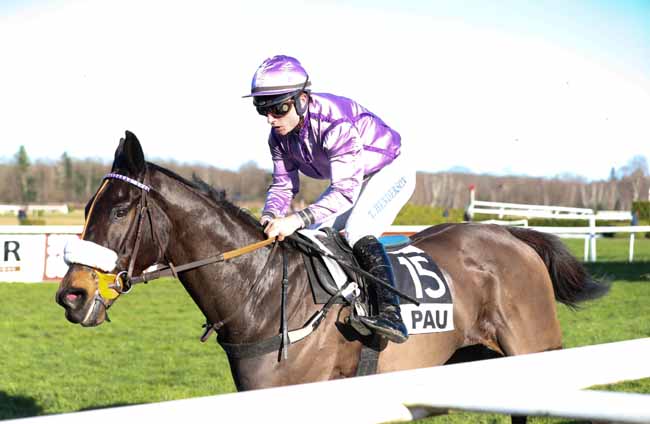 Photo d'arrivée de la course pmu PRIX EMILE LALANNE à PAU le Mardi 15 janvier 2019