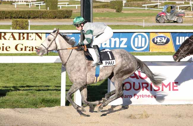 Photo d'arrivée de la course pmu PRIX DE LASSEUBE à PAU le Mardi 15 janvier 2019