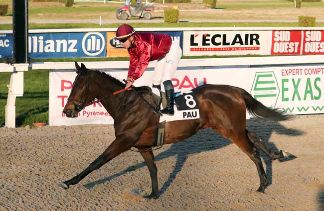 Photo d'arrivée de la course pmu PRIX D'ARTOUSTE à PAU le Mardi 15 janvier 2019