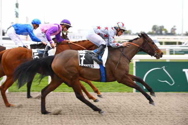 Photo d'arrivée de la course pmu PRIX DE LA CORNICHE FLEURIE à CAGNES-SUR-MER le Mercredi 16 janvier 2019