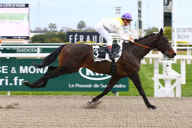 Photo d'arrivée de la course pmu PRIX CHERET à CAGNES-SUR-MER le Mercredi 16 janvier 2019
