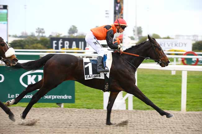Photo d'arrivée de la course pmu PRIX DE GRASSE à CAGNES-SUR-MER le Mercredi 16 janvier 2019