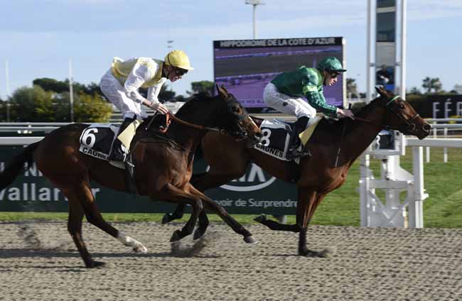 Photo d'arrivée de la course pmu PRIX DES BLEUETS à CAGNES-SUR-MER le Vendredi 18 janvier 2019