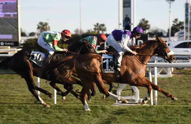 Photo d'arrivée de la course pmu PRIX DE TOURRETTES-SUR-LOUP à CAGNES-SUR-MER le Vendredi 18 janvier 2019