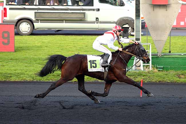 Photo d'arrivée de la course pmu PRIX DE BROSSAC à PARIS-VINCENNES le Vendredi 18 janvier 2019