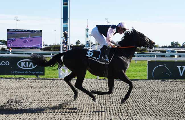 Photo d'arrivée de la course pmu PRIX DU DOCTEUR GAZAGNAIRE à CAGNES-SUR-MER le Lundi 21 janvier 2019