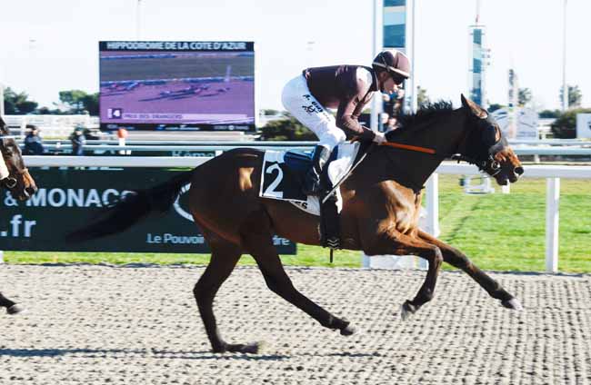 Photo d'arrivée de la course pmu PRIX DES ORANGERS à CAGNES-SUR-MER le Lundi 21 janvier 2019