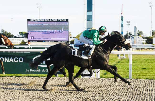 Photo d'arrivée de la course pmu PRIX DES CITRONNIERS à CAGNES-SUR-MER le Lundi 21 janvier 2019