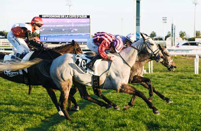 Photo d'arrivée de la course pmu PRIX DE L'ILE DU LEVANT à CAGNES-SUR-MER le Lundi 21 janvier 2019