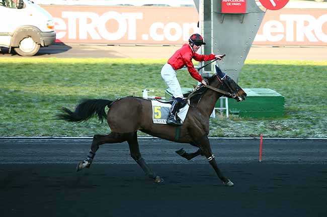 Photo d'arrivée de la course pmu PRIX DE MONTFORT à PARIS-VINCENNES le Lundi 21 janvier 2019