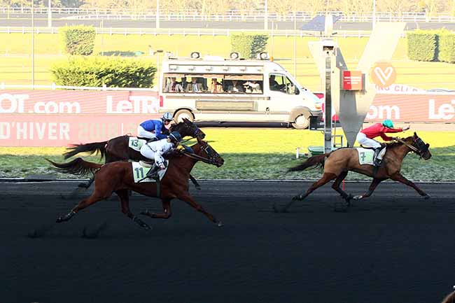 Photo d'arrivée de la course pmu PRIX D'EVRAN à PARIS-VINCENNES le Lundi 21 janvier 2019