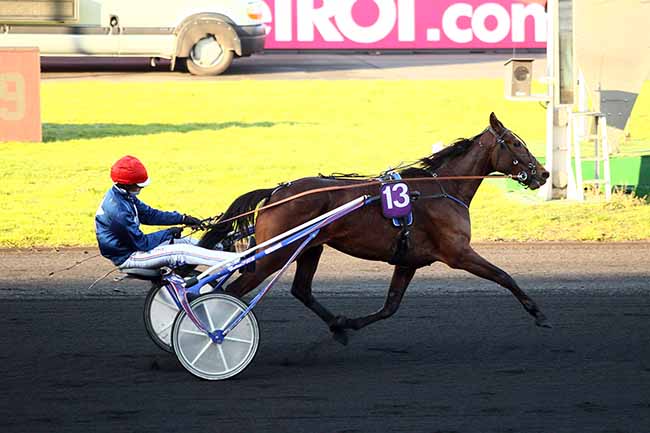 Photo d'arrivée de la course pmu PRIX DE CAVAILLON à PARIS-VINCENNES le Lundi 21 janvier 2019