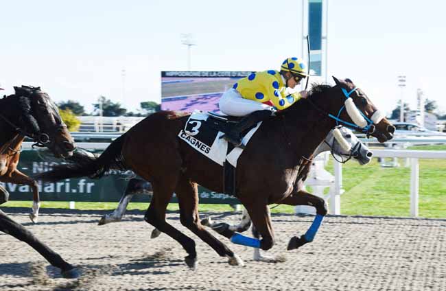 Photo d'arrivée de la course pmu PRIX DES FIGUIERS à CAGNES-SUR-MER le Mardi 22 janvier 2019
