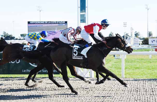 Photo d'arrivée de la course pmu PRIX DE MARSEILLE à CAGNES-SUR-MER le Mardi 22 janvier 2019