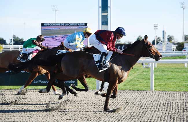 Photo d'arrivée de la course pmu PRIX DU SERPOLET à CAGNES-SUR-MER le Mardi 22 janvier 2019