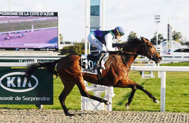 Photo d'arrivée de la course pmu PRIX DES OLIVIERS à CAGNES-SUR-MER le Mardi 22 janvier 2019