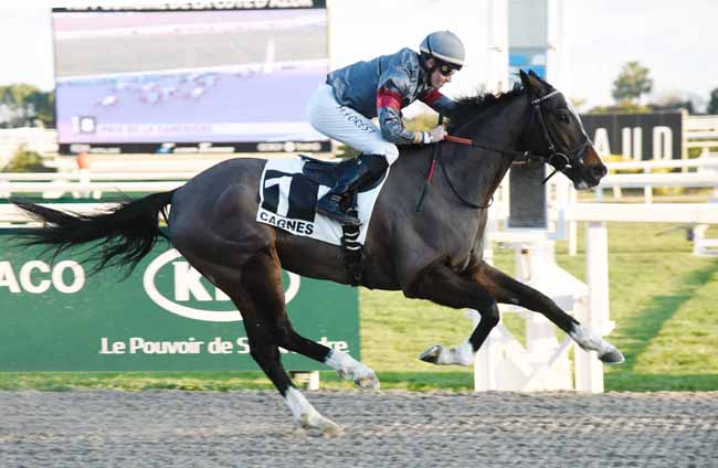 Photo d'arrivée de la course pmu PRIX DE LA CANEBIERE à CAGNES-SUR-MER le Mardi 22 janvier 2019