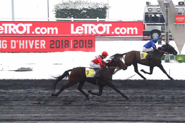 Photo d'arrivée de la course pmu PRIX DE CORLAY à PARIS-VINCENNES le Mardi 22 janvier 2019