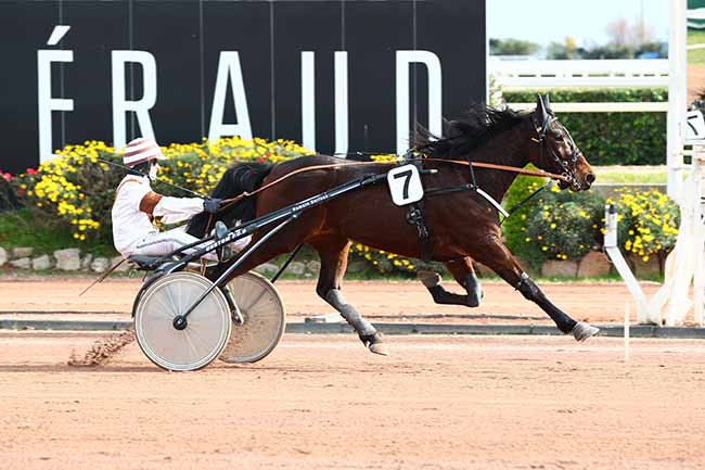 Photo d'arrivée de la course pmu PRIX DU PERIGORD à CAGNES-SUR-MER le Mercredi 23 janvier 2019