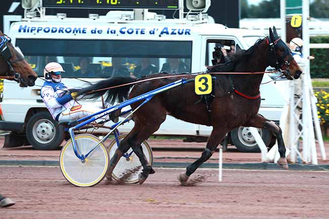 Photo d'arrivée de la course pmu PRIX DOLLAR DE MESLAY à CAGNES-SUR-MER le Mercredi 23 janvier 2019