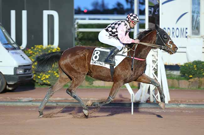 Photo d'arrivée de la course pmu PRIX KRAMA KALL à CAGNES-SUR-MER le Mercredi 23 janvier 2019
