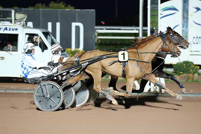 Photo d'arrivée de la course pmu PRIX TIGRE ROYAL à CAGNES-SUR-MER le Mercredi 23 janvier 2019