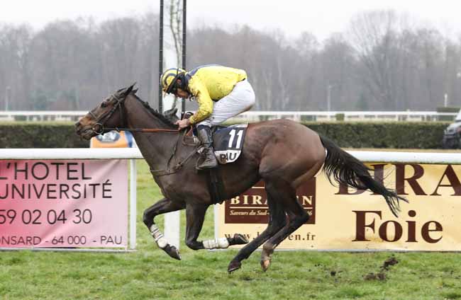 Photo d'arrivée de la course pmu PRIX EQUIDIA - PRIX RENE CRAMAIL à PAU le Vendredi 25 janvier 2019
