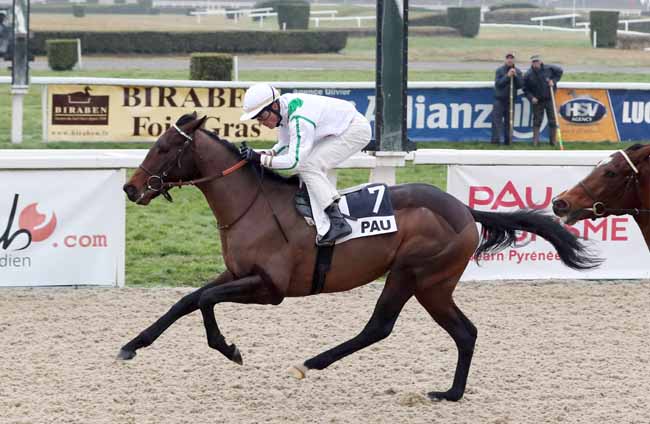 Photo d'arrivée de la course pmu PRIX DU CERCLE ANGLAIS à PAU le Vendredi 25 janvier 2019