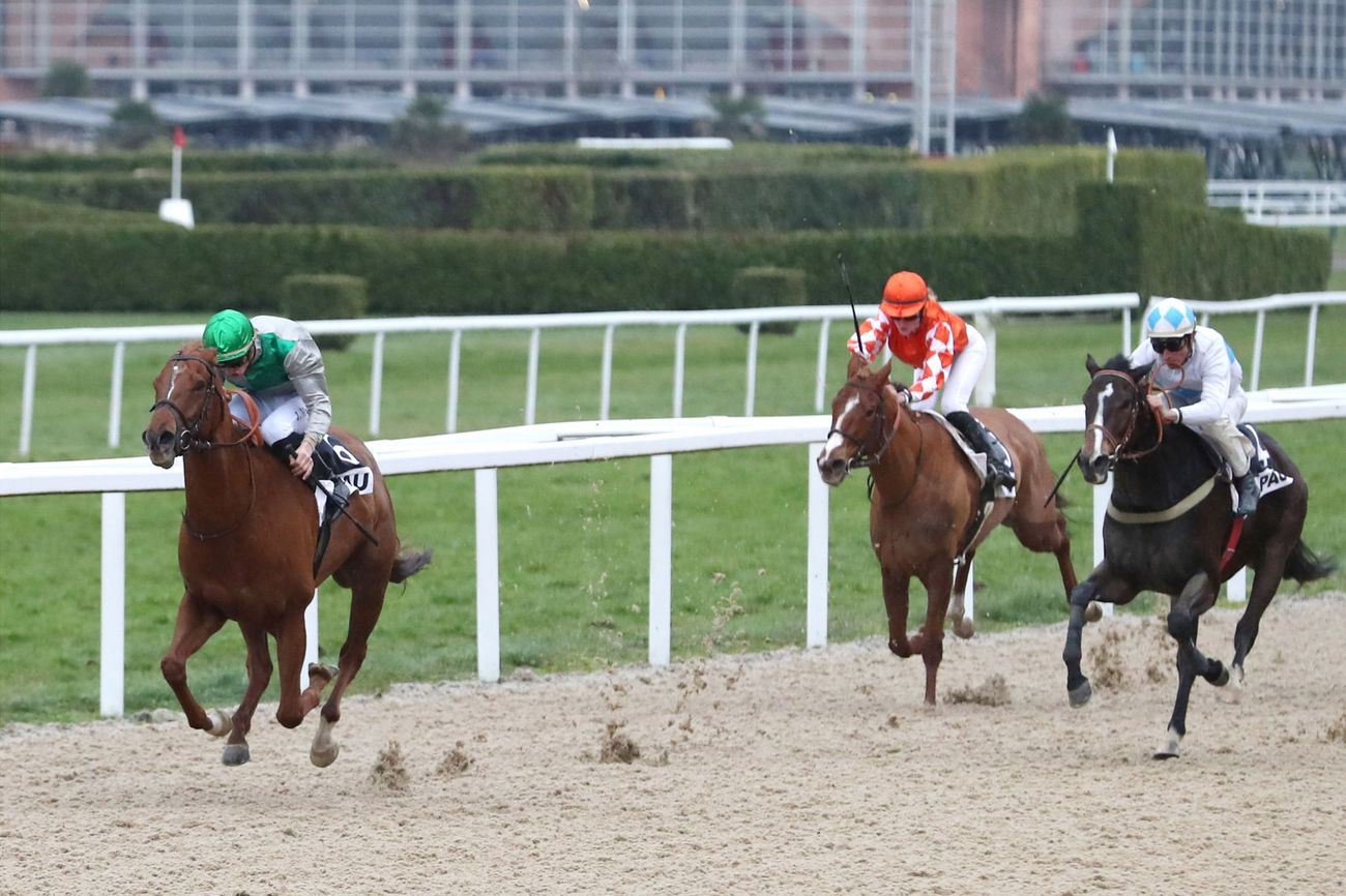 Photo d'arrivée de la course pmu PRIX DE LESCUN à PAU le Vendredi 25 janvier 2019