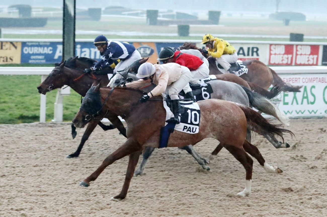 Photo d'arrivée de la course pmu PRIX DE LIVRON à PAU le Vendredi 25 janvier 2019
