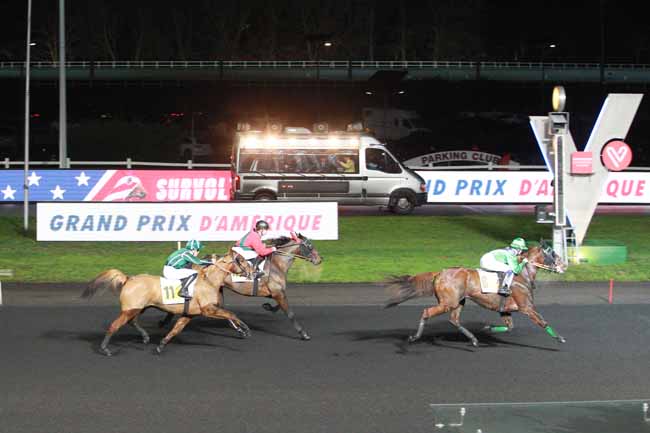 Photo d'arrivée de la course pmu PRIX TIDALIUM PELO à PARIS-VINCENNES le Dimanche 27 janvier 2019