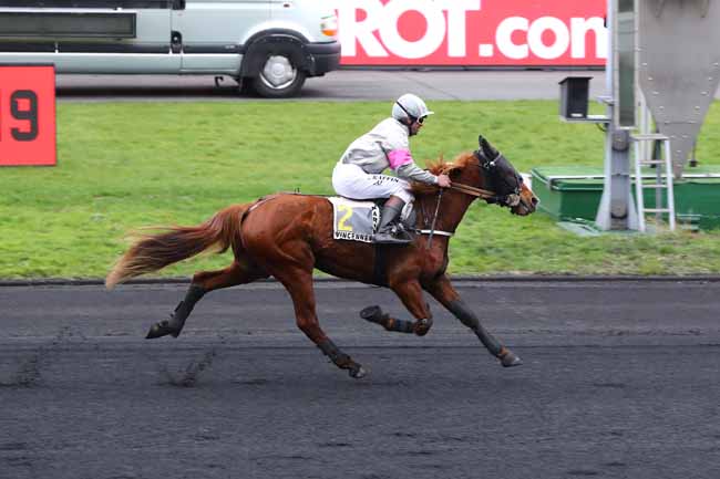Photo d'arrivée de la course pmu PRIX DE CHOLET à PARIS-VINCENNES le Mardi 29 janvier 2019