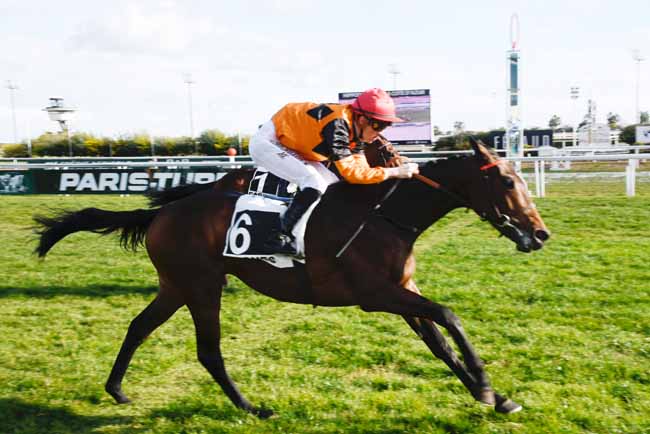 Photo d'arrivée de la course pmu PRIX DE GRIMAUD à CAGNES-SUR-MER le Mercredi 30 janvier 2019