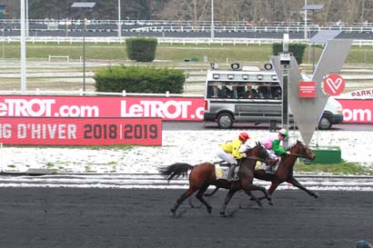 Photo d'arrivée de la course pmu PRIX D'AUCH à PARIS-VINCENNES le Jeudi 31 janvier 2019