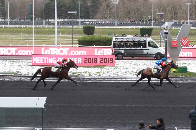 Photo d'arrivée de la course pmu PRIX DE DOZULE à PARIS-VINCENNES le Jeudi 31 janvier 2019