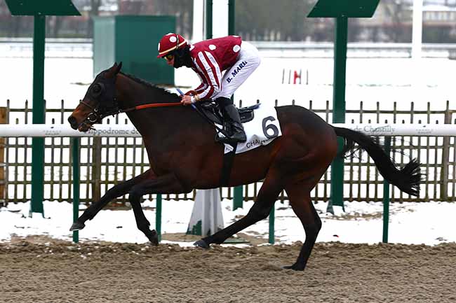Photo d'arrivée de la course pmu PRIX DU ROND DU MANEGE à CHANTILLY le Jeudi 31 janvier 2019